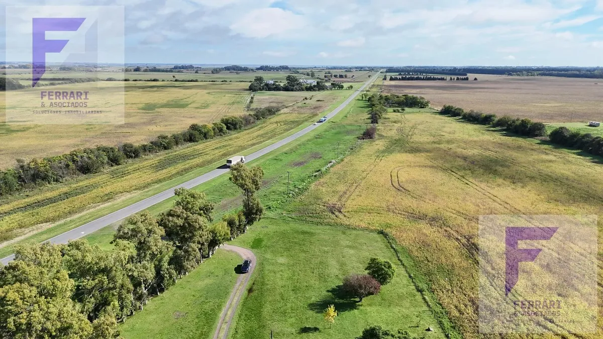 Campo Productivo De 67 Ha En Venta En Baradero, Prov. Bs. As. Sobre Ruta 41