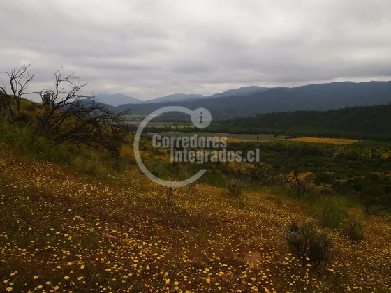 Parcela En Venta En Casablanca