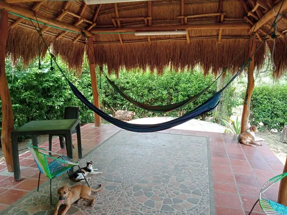 Venta Finca Dos Hectáreas Baranoa Atlántico Colombia
