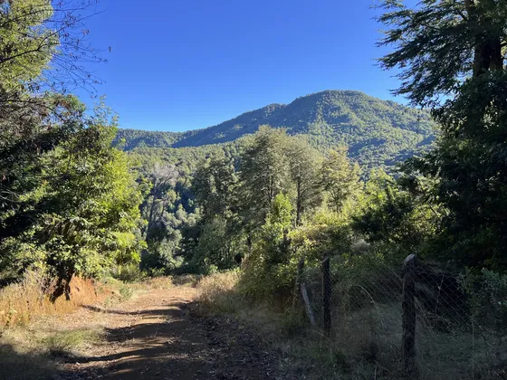 Vendo Hermoso Terreno, Sector Los Pellines, Camino A Las Ter