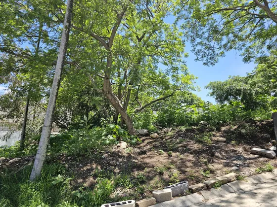 Terrenos En Venta En Lomas De Atzingo