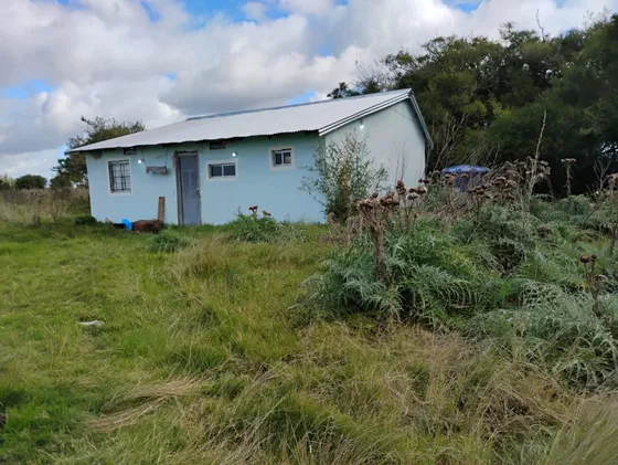 Se Venden 8 Has Agricolas 100 % San Jacinto Canelones