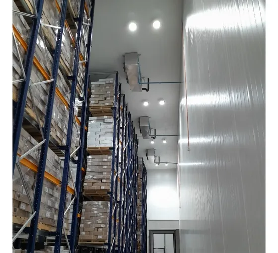 Bodega Frigorífica En Arriendo / Almacenamiento De Congelado
