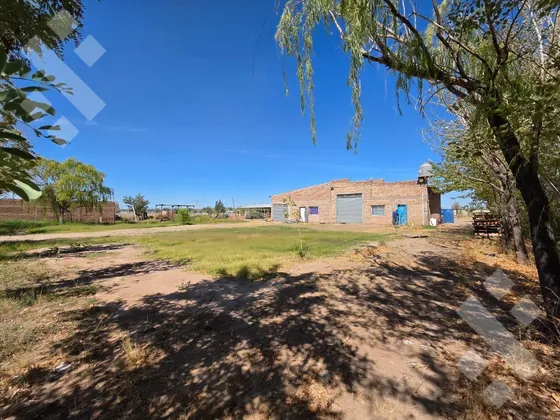 Venta, Nave Industrial -4635 M2, Parque Ind Plottier-neuquén
