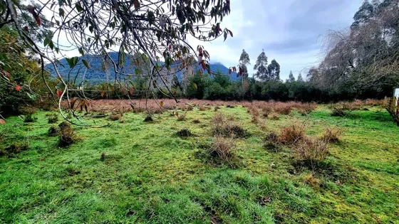 Parcela 5.631 M2, En Correntoso Cerca De Parque Alerce Andin