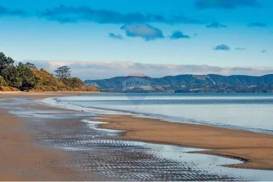 Hermoso Campo De 8 Hectáreas En Lechagua - Ancud