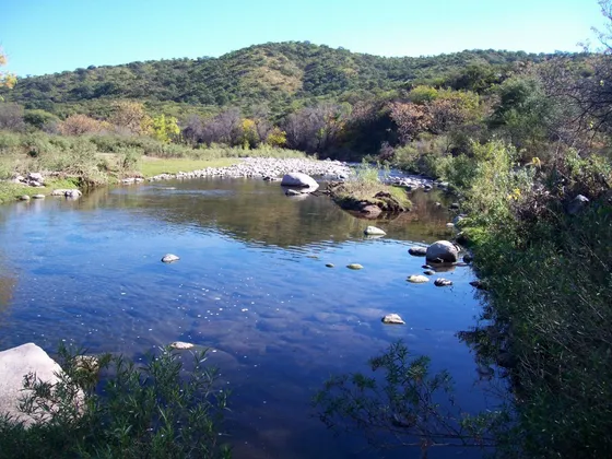Campo De 102 Ha / Títulos Perfectos / Charbonier