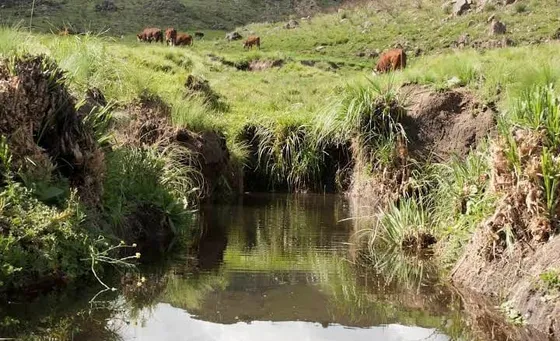 San Luis, Valle De Pancanta 200 Hectareas