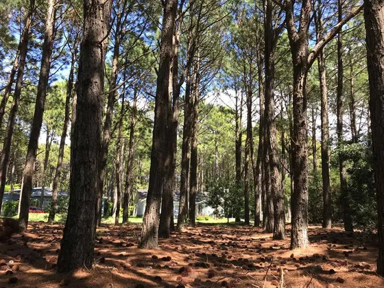 Terreno / Lote En Venta De 899m2 Ubicado En Frontera