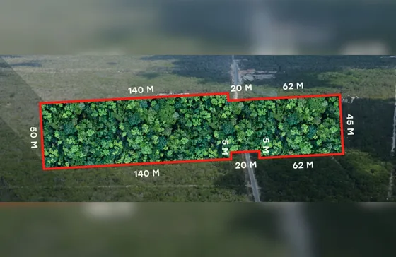 Terreno Multifamiliar De 10,613 M2, En Venta, Región 10, Tulum.