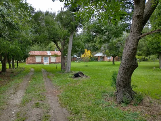 Campo En Venta En Punta Indio-99 Has Sobre Ruta