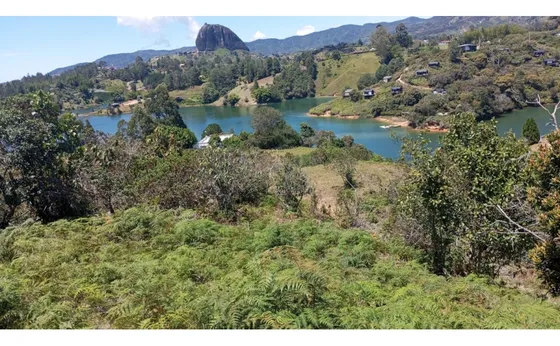 Vendo Finca El Peñol Antioquia, Con Acceso A La Represa 8 Hectáreas 