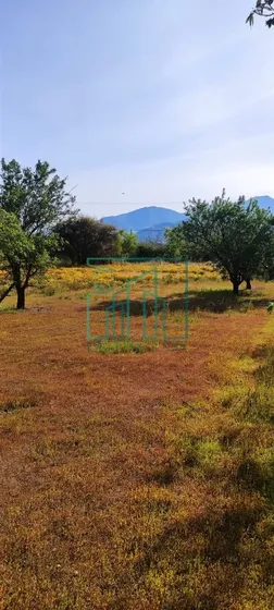 Sitios En Venta En Curacavi