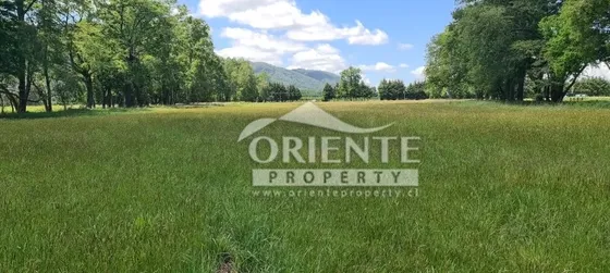 Parcelas 5.000 M2 Villarrica Vista Volcán Y Financiamiento