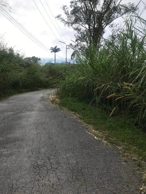 Terreno Urbanización Las Polonias Nuevas, San Antonio De Los Altos 