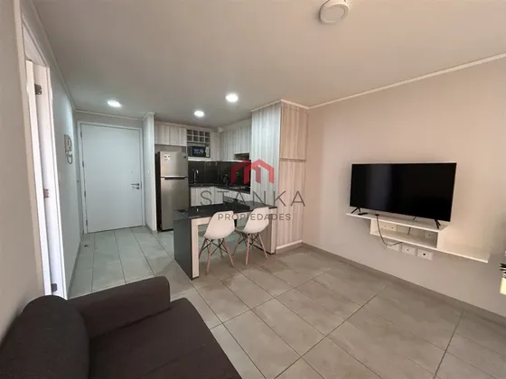 Departamento En Arriendo De 1 Dorm Incluye Gastos Comunes 