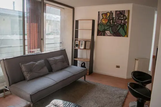 Arriendo Depto Amoblado 2d (grandes)+ 2b Santiago (2331)