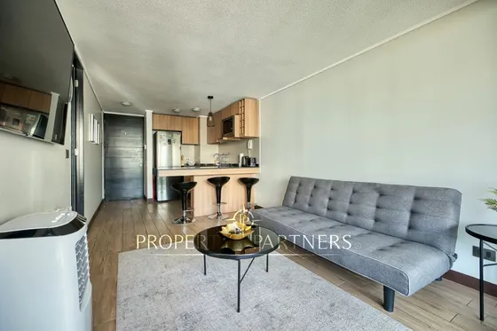 Moderno Departamento Con Excelente Conectividad, S...