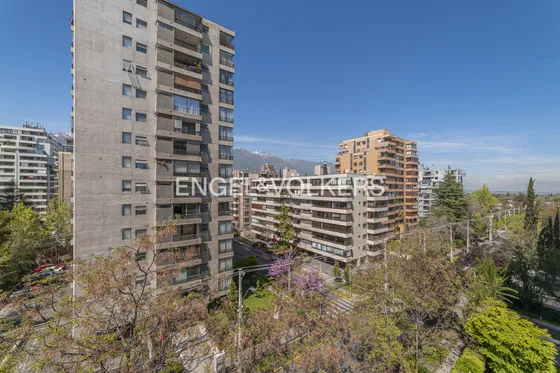 Pontevedra / Colón