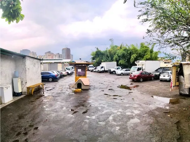Venta De Terreno En Los Cortijos 4313m2 (yg)