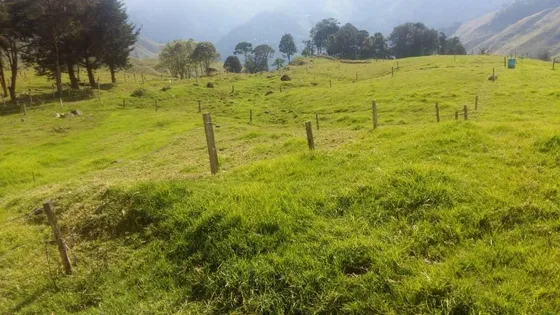 Finca En Venta En La Laguna Garcia 