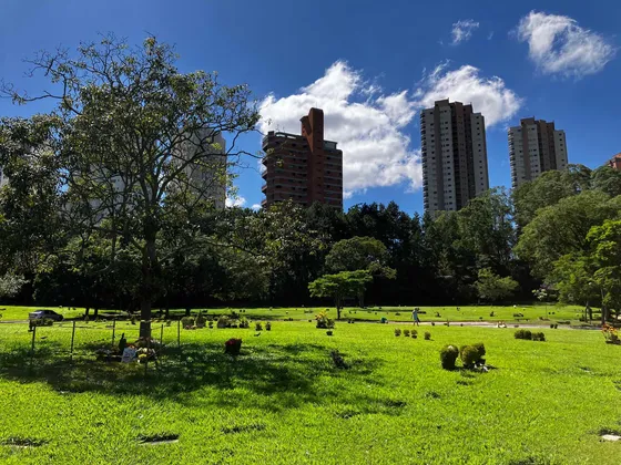 Jazigo Cemitério Do Morumbi