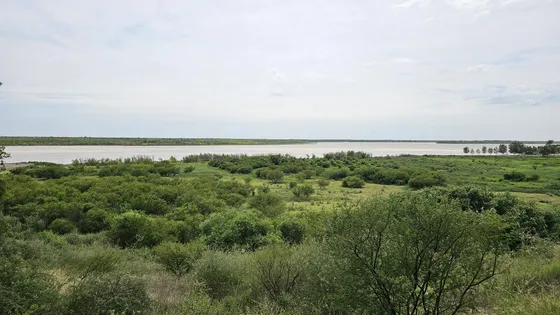Venta Campo 16 Ha Con Salida Al Parana Fighiera