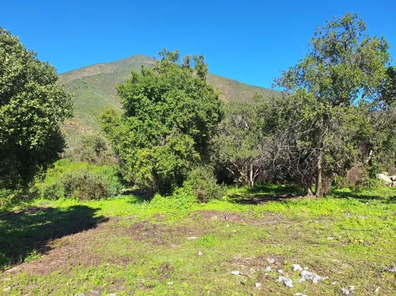 Preciosa Parcela Con Cabaña En Olmue Ojos Buenos