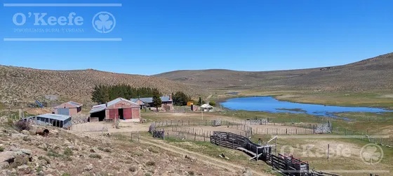 Campo En Venta De 4394 Has Comallo, Rio Negro