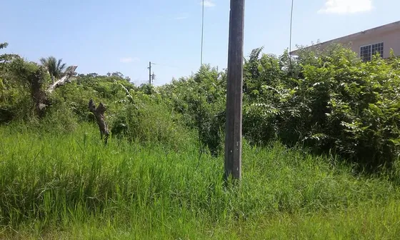 Venta Terreno 200 M² Loc Banderas Tuxpan Veracruz