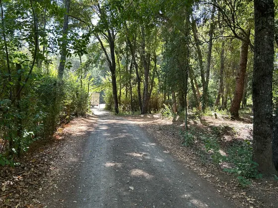 Venta Terreno - Sitio 4700mts San Clemente