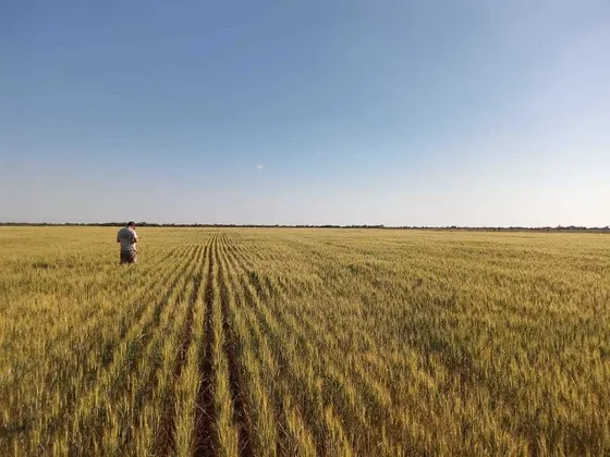Vendo Campo En La Paz Entre Ríos