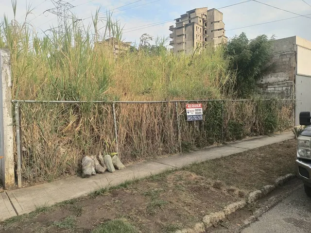 En Alquiler Terreno En Plena Calle Del Hambre De Mañongo G.g