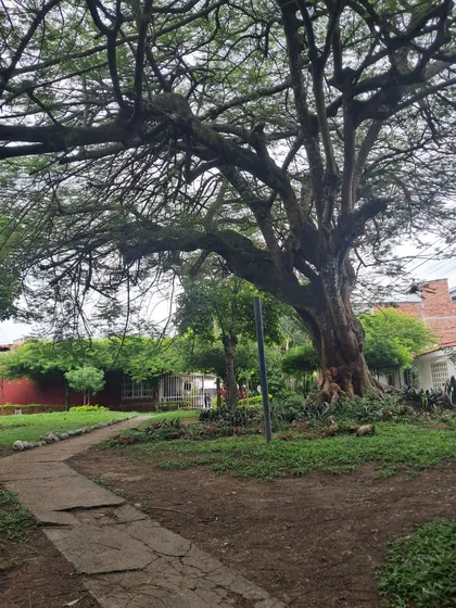 Venta De Casa En El Barrio Santa Ana/ Palmira/ Valle De Cauca