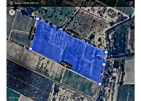 Finca En Venta  Viñedo Mendoza 7ha Lujan De Cuyo