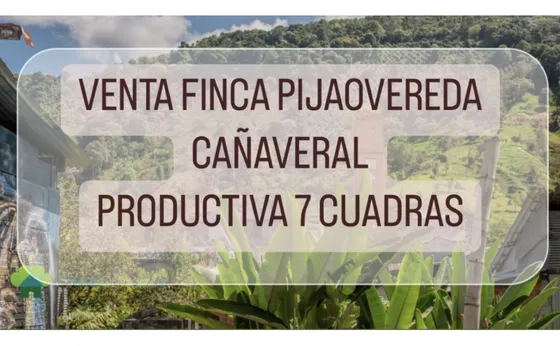 Venta Finca Productiva Pijao - 7 Cuadras