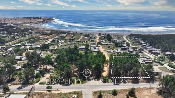 Pichilemu, Excelente Oportunidad Comercial En Punt...