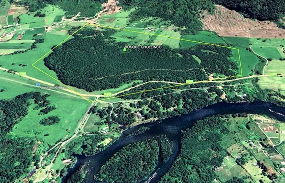  Parcelas Sin Comision 5000 M2 - Bosque Chollinco - Llifén