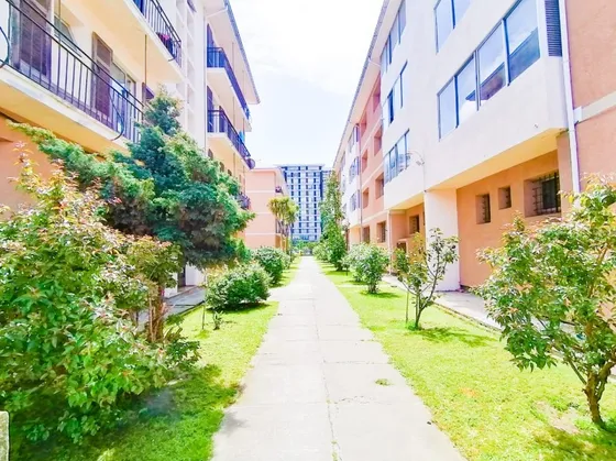 Arriendo Departamento Concepción: 3 Dormitorios Y 2 Baños