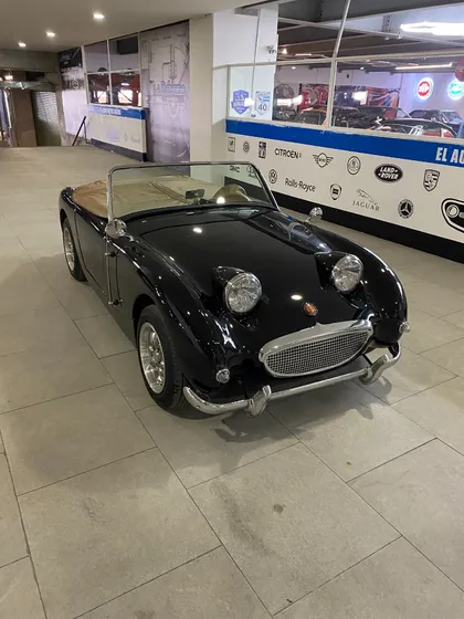 Austin Healey 