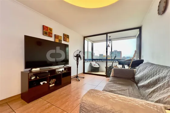 Departamento En Venta De 3 Dorm. En Providencia