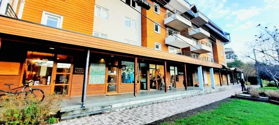 Arriendo Cómodo Departamento En Pucón