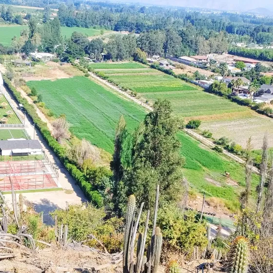 Arriendo Parcela O Terreno De 16.000m2
