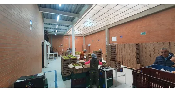 Bodega Adecuada Para Alimentos, Parque Industrial, Fontibon