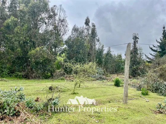 Parcela Vta. 20.000 M2 A Orillas De Ruta 5 Sur - San Rafael