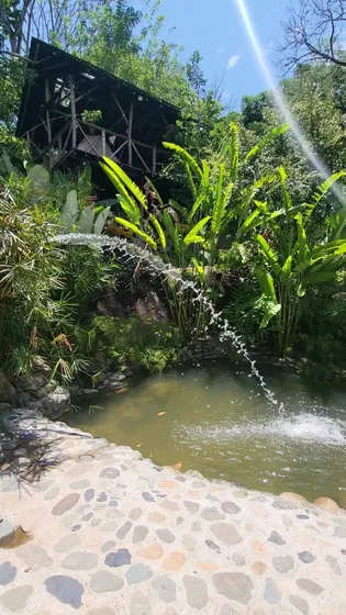 Venta Finca - Glamping En Támesis Suroeste Antioqueño