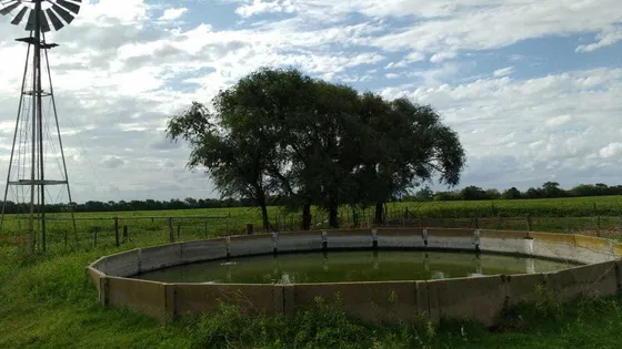 Vendo Campo De 83 Hectáreas, Bell Ville, Córdoba.