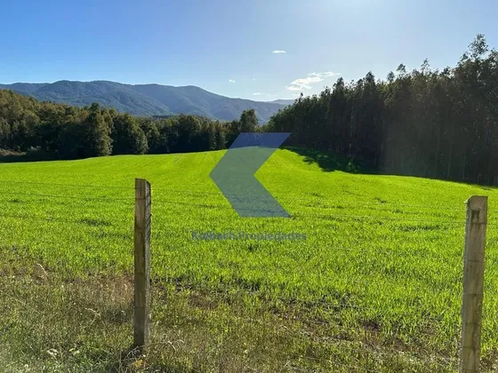 Hermoso Terreno En Venta En Fresia