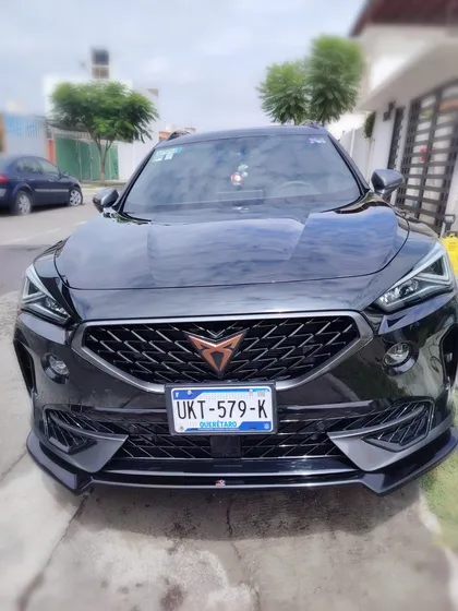 Cupra Formentor 2.0 Vz 310hp 4wd Dsg7