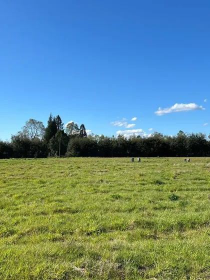 Últimas Parcelas Disponibles A Solo 15 Minutos De Valdivia